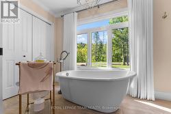 Soaker tub with a view -