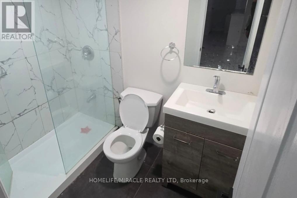 Lower - 209 Greenbrook Drive, Kitchener, ON - Indoor Photo Showing Bathroom