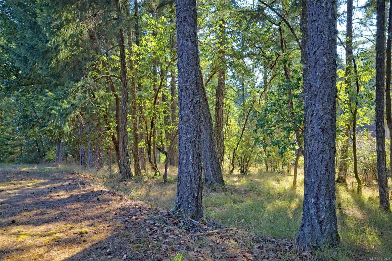 229 Cormorant Cres, Salt Spring, BC