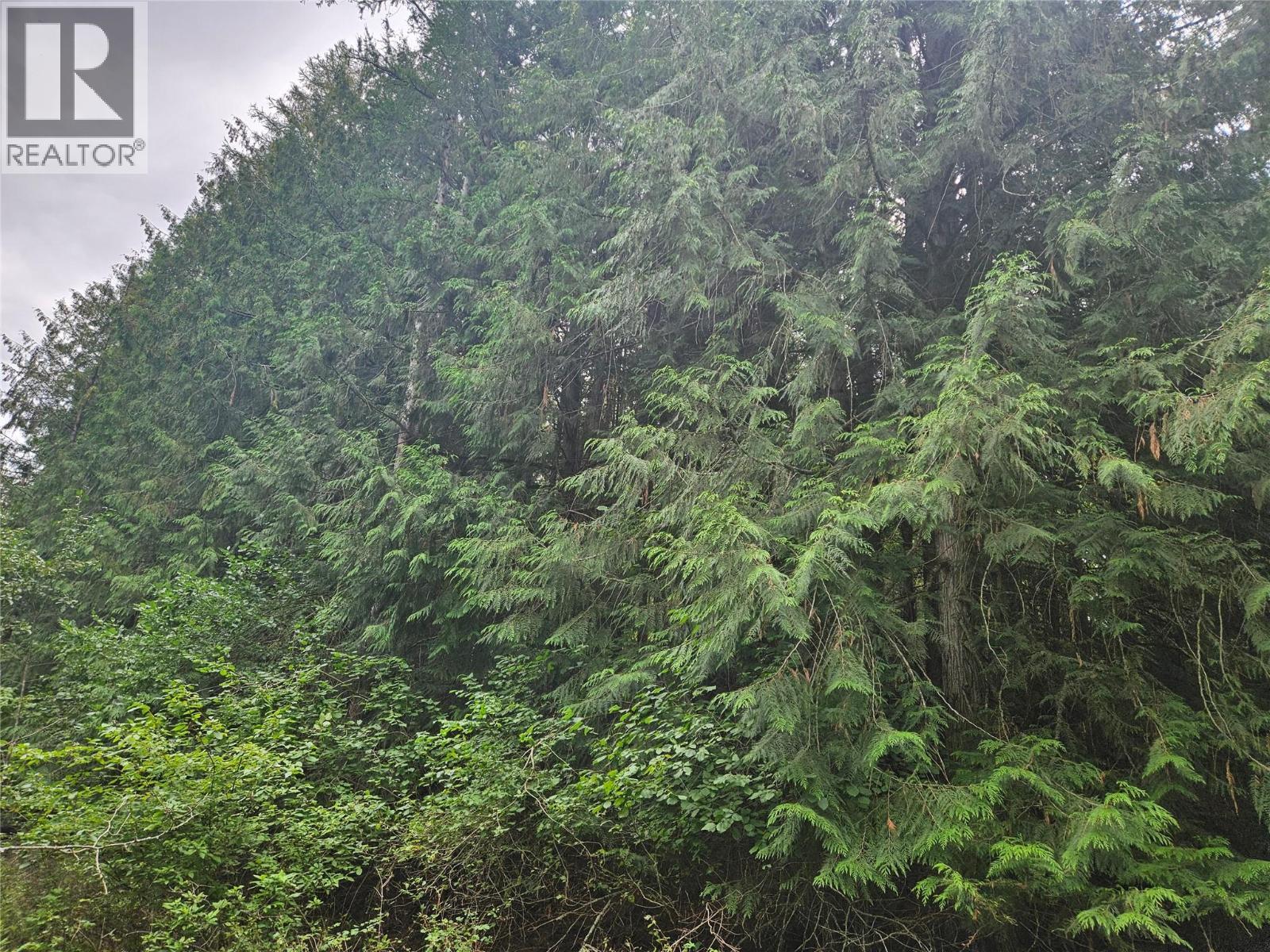 588 Hagey Road, Creston, BC