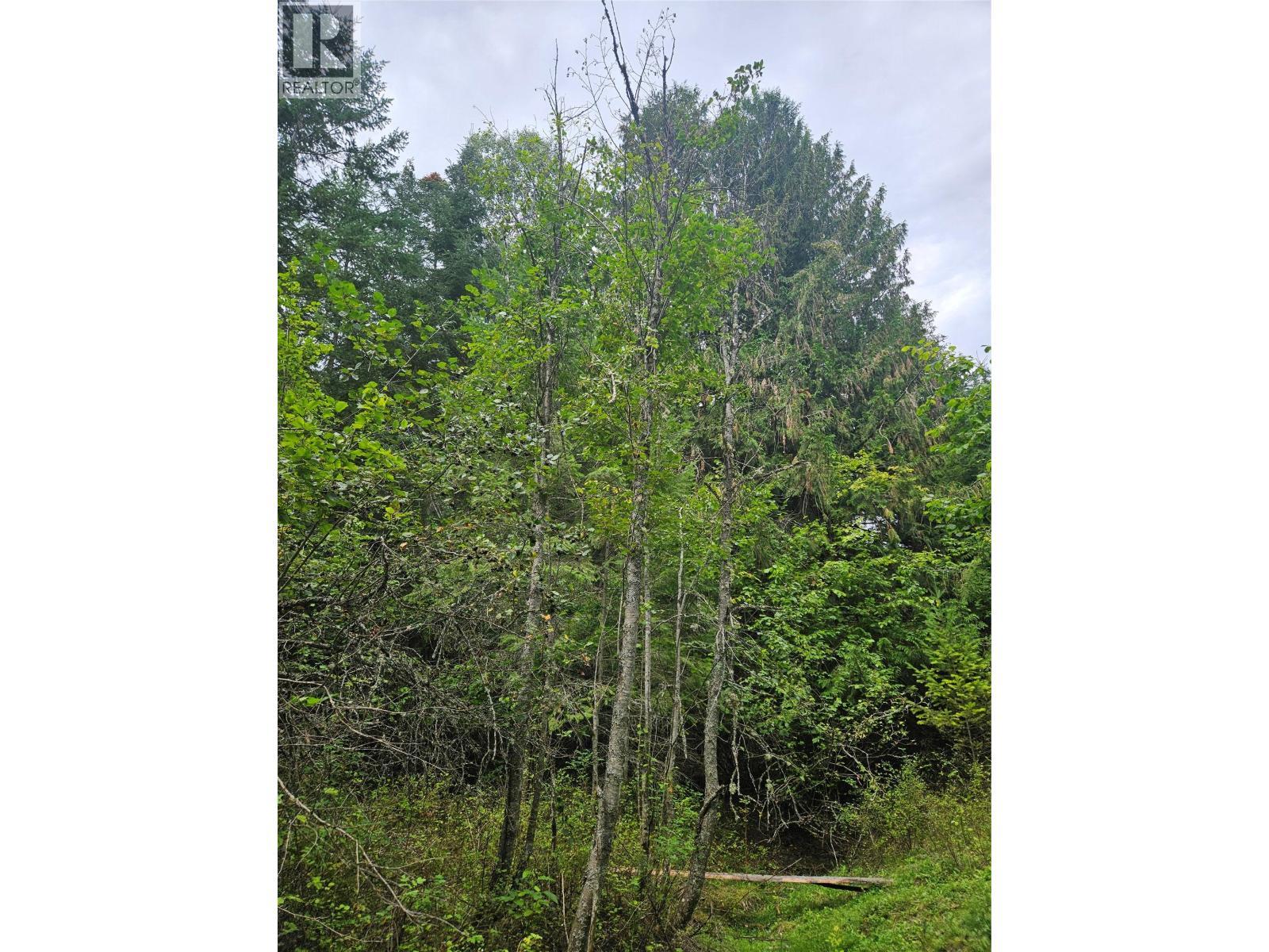 588 Hagey Road, Creston, BC