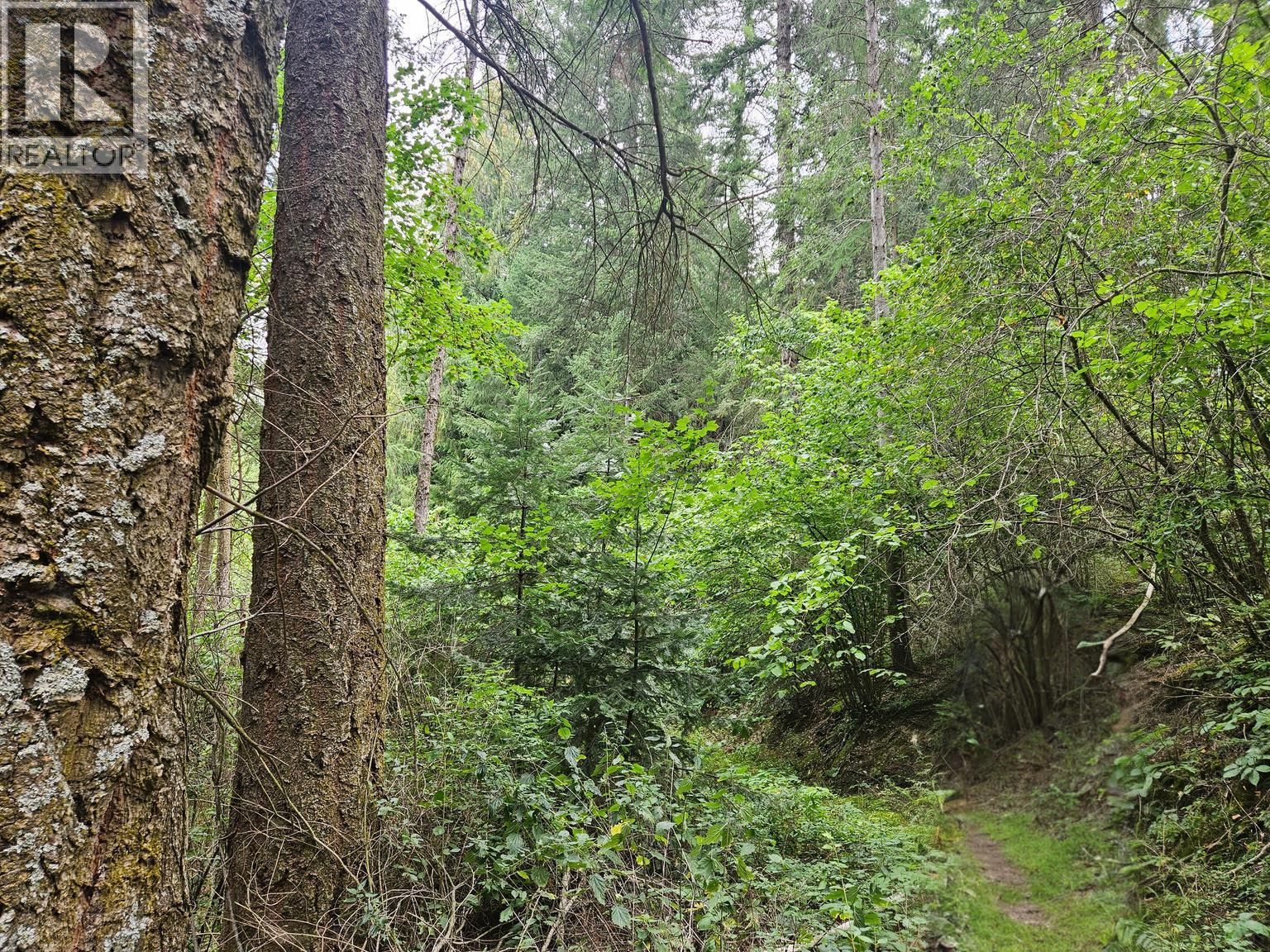 588 Hagey Road, Creston, BC