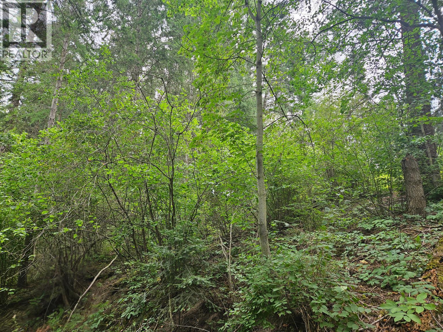 588 Hagey Road, Creston, BC