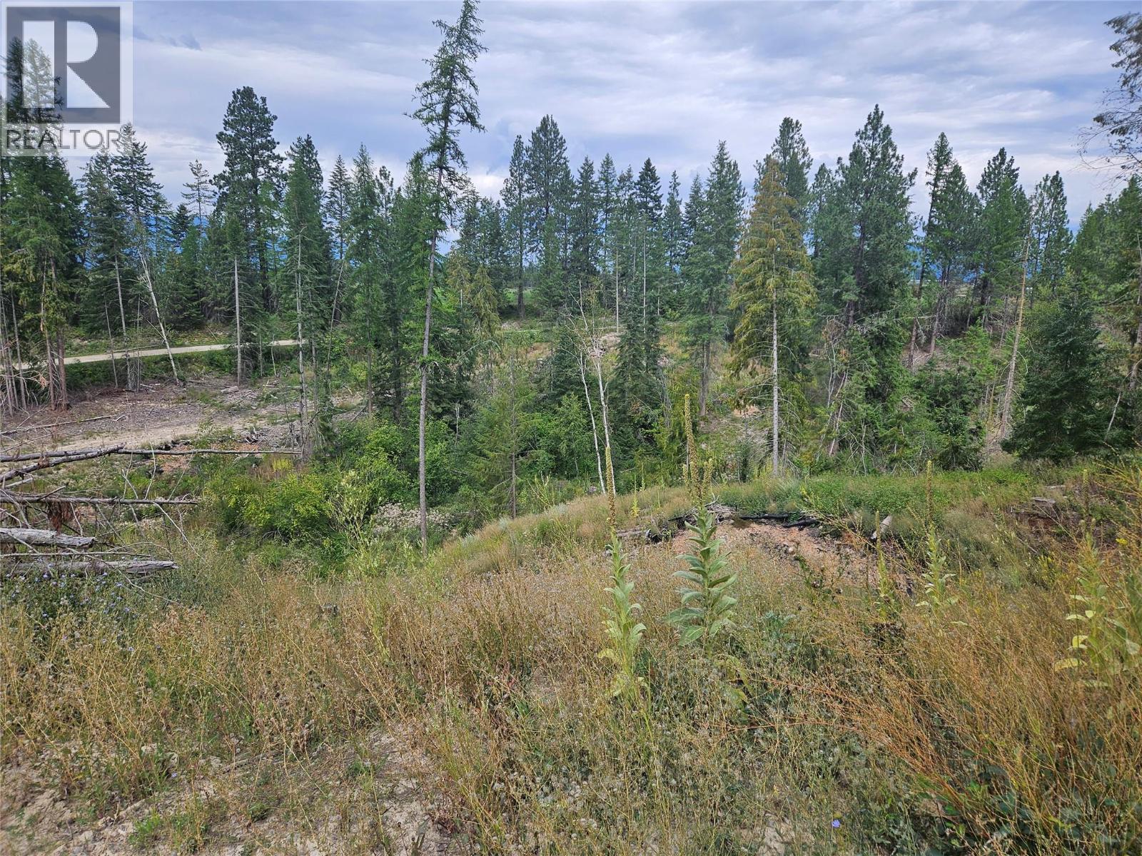 588 Hagey Road, Creston, BC