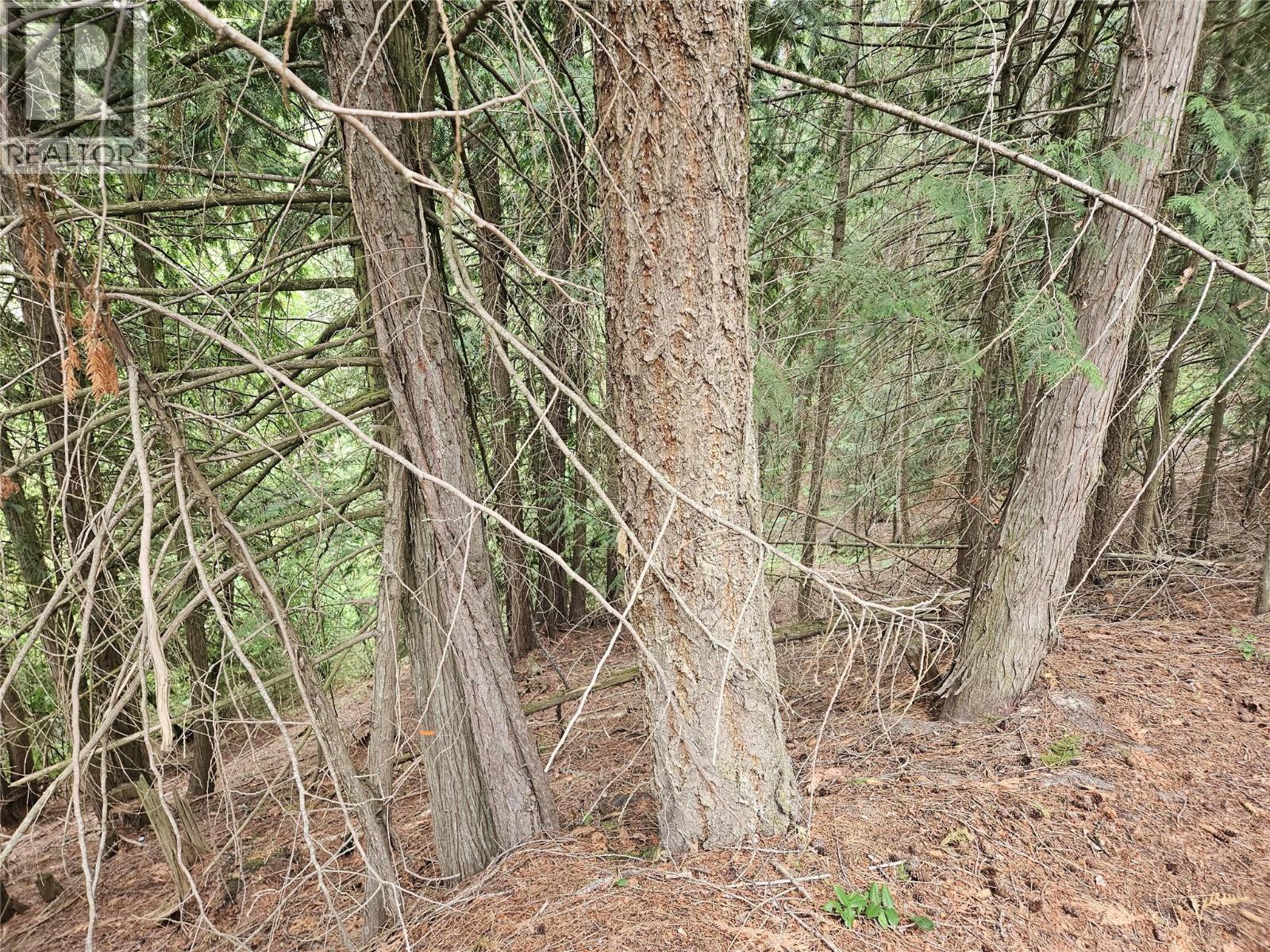 588 Hagey Road, Creston, BC