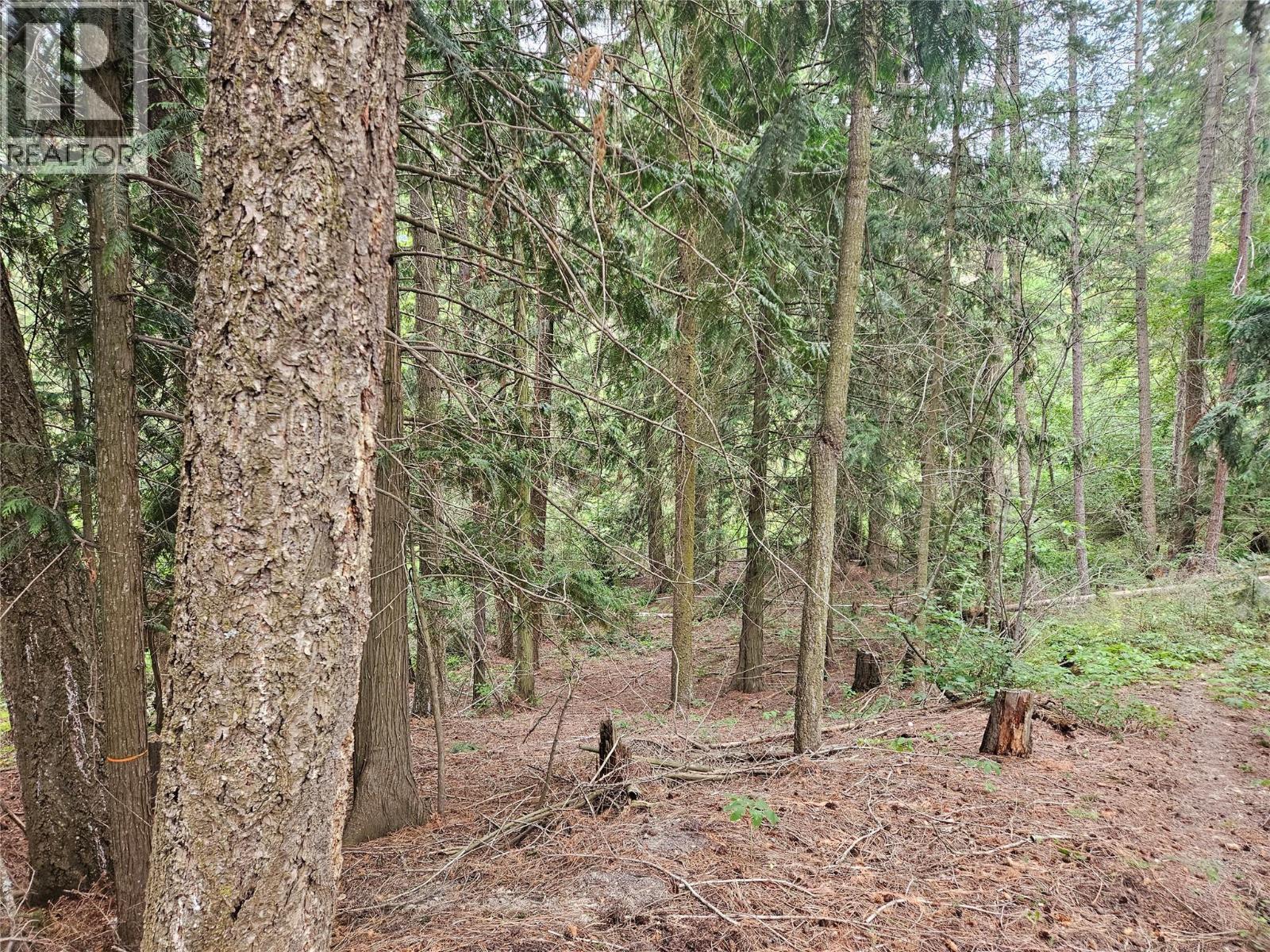 588 Hagey Road, Creston, BC