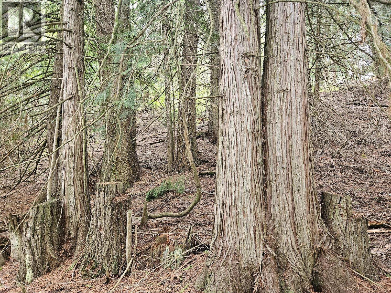 588 Hagey Road, Creston, BC