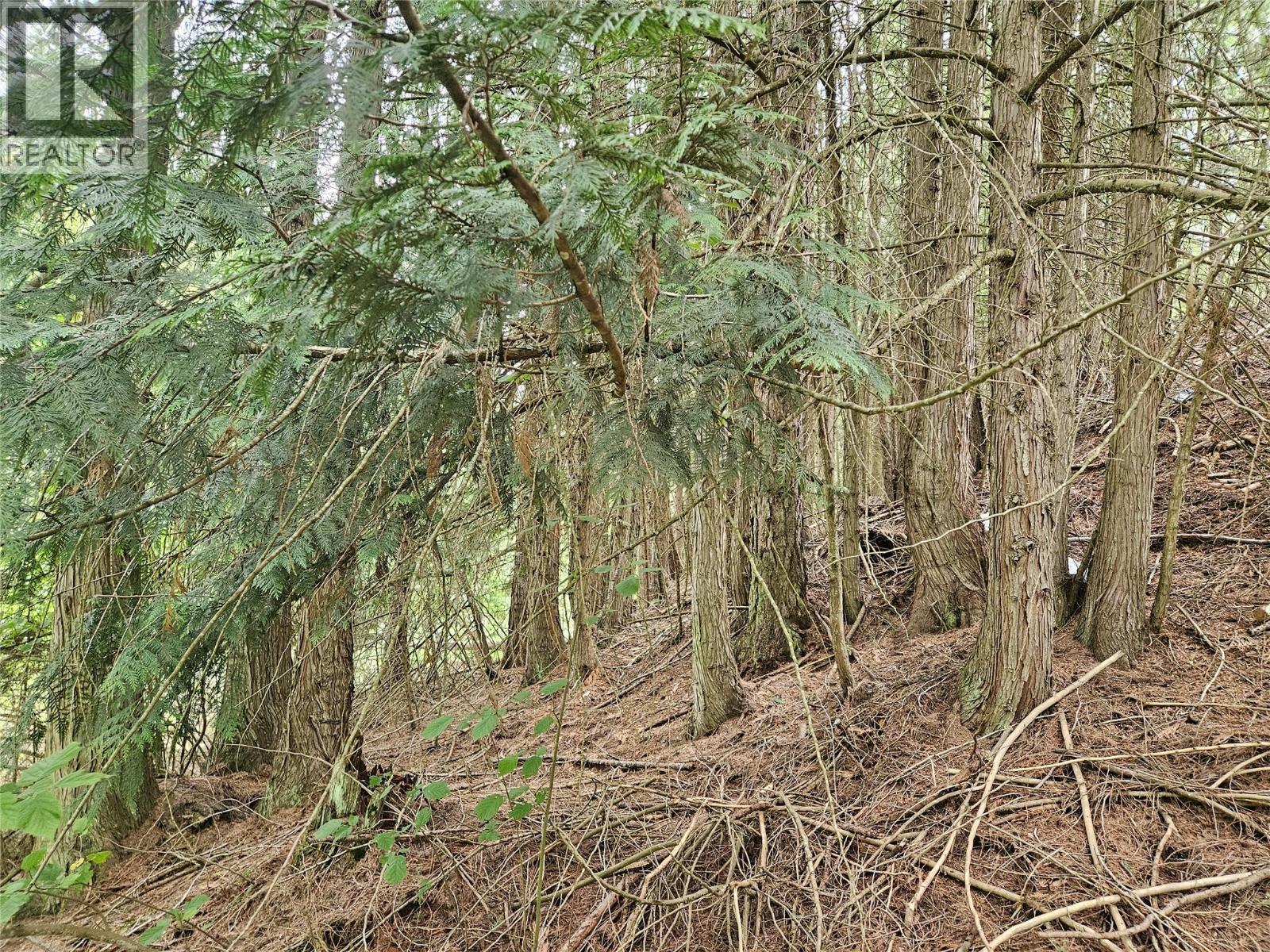 588 Hagey Road, Creston, BC