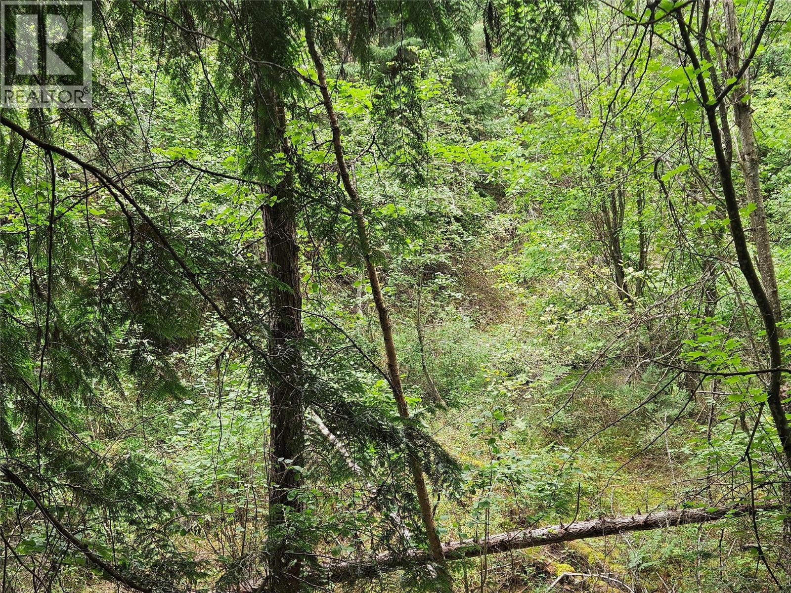 588 Hagey Road, Creston, BC