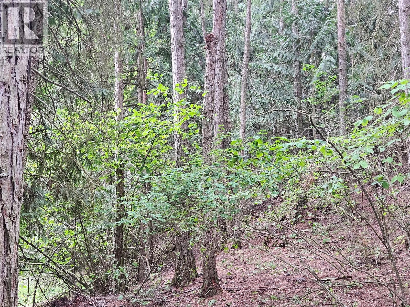 588 Hagey Road, Creston, BC