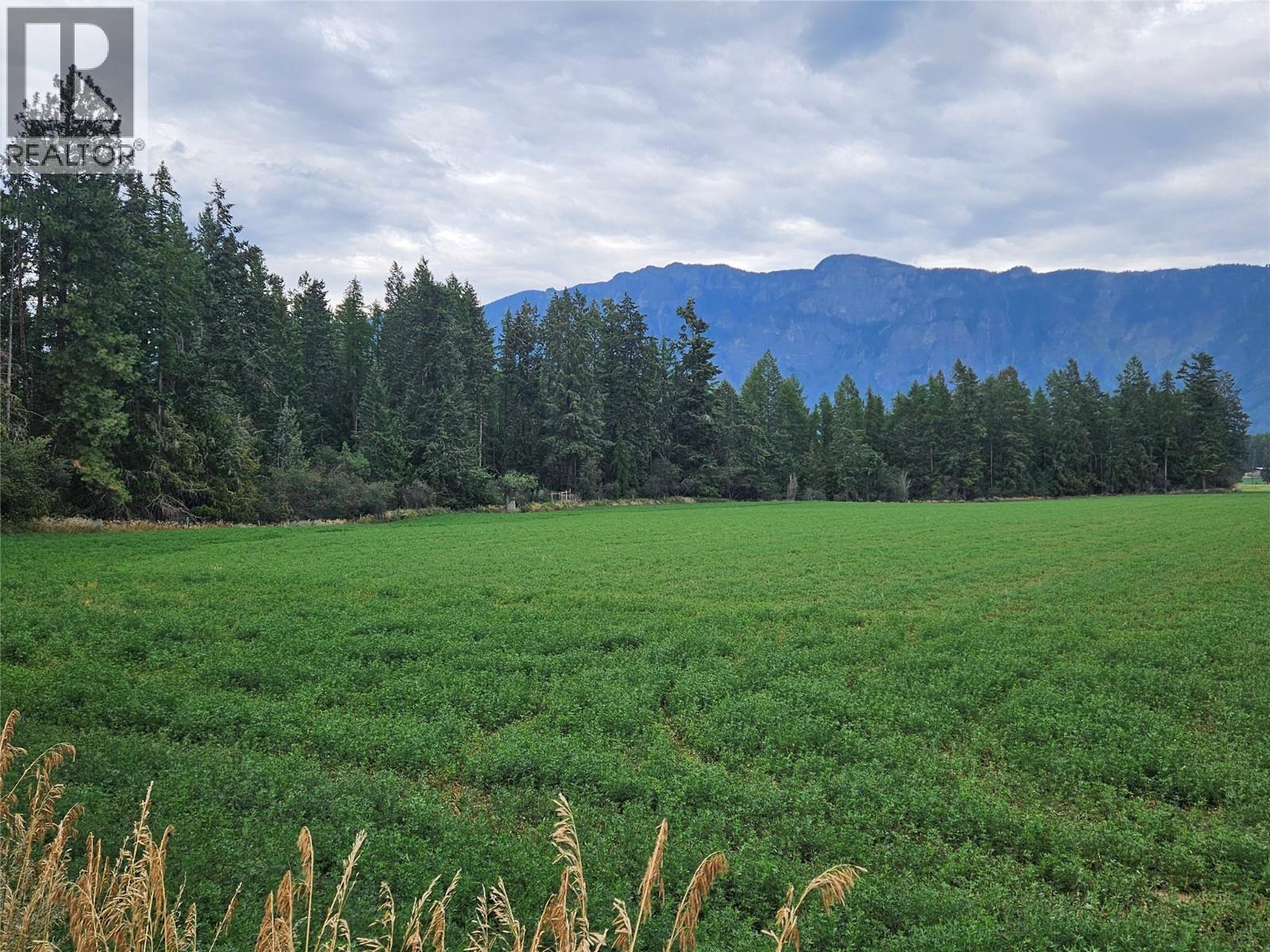 Property is the wooded area - 588 Hagey Road, Creston, BC