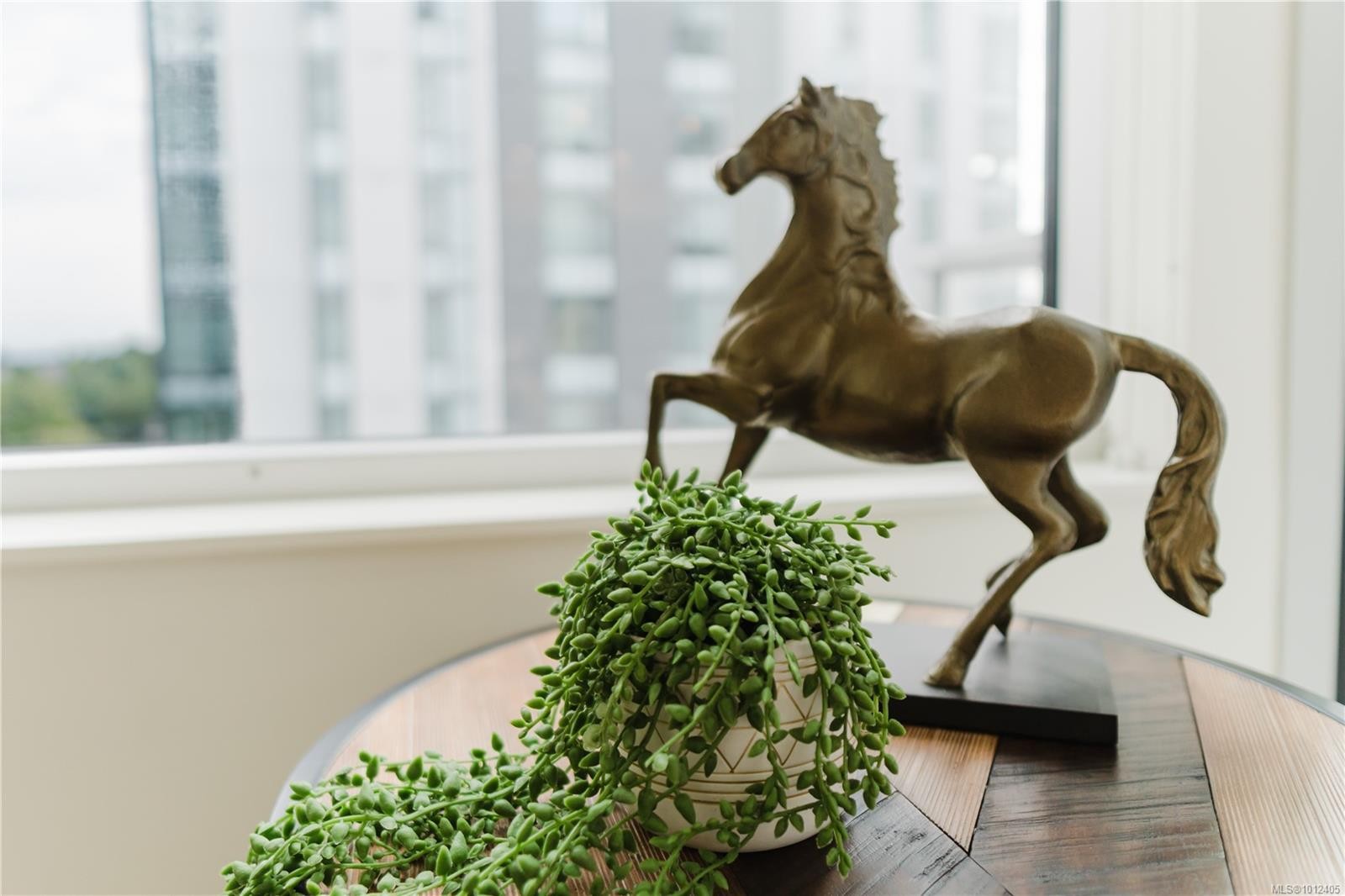 515-989 Johnson St, Victoria, BC - Indoor