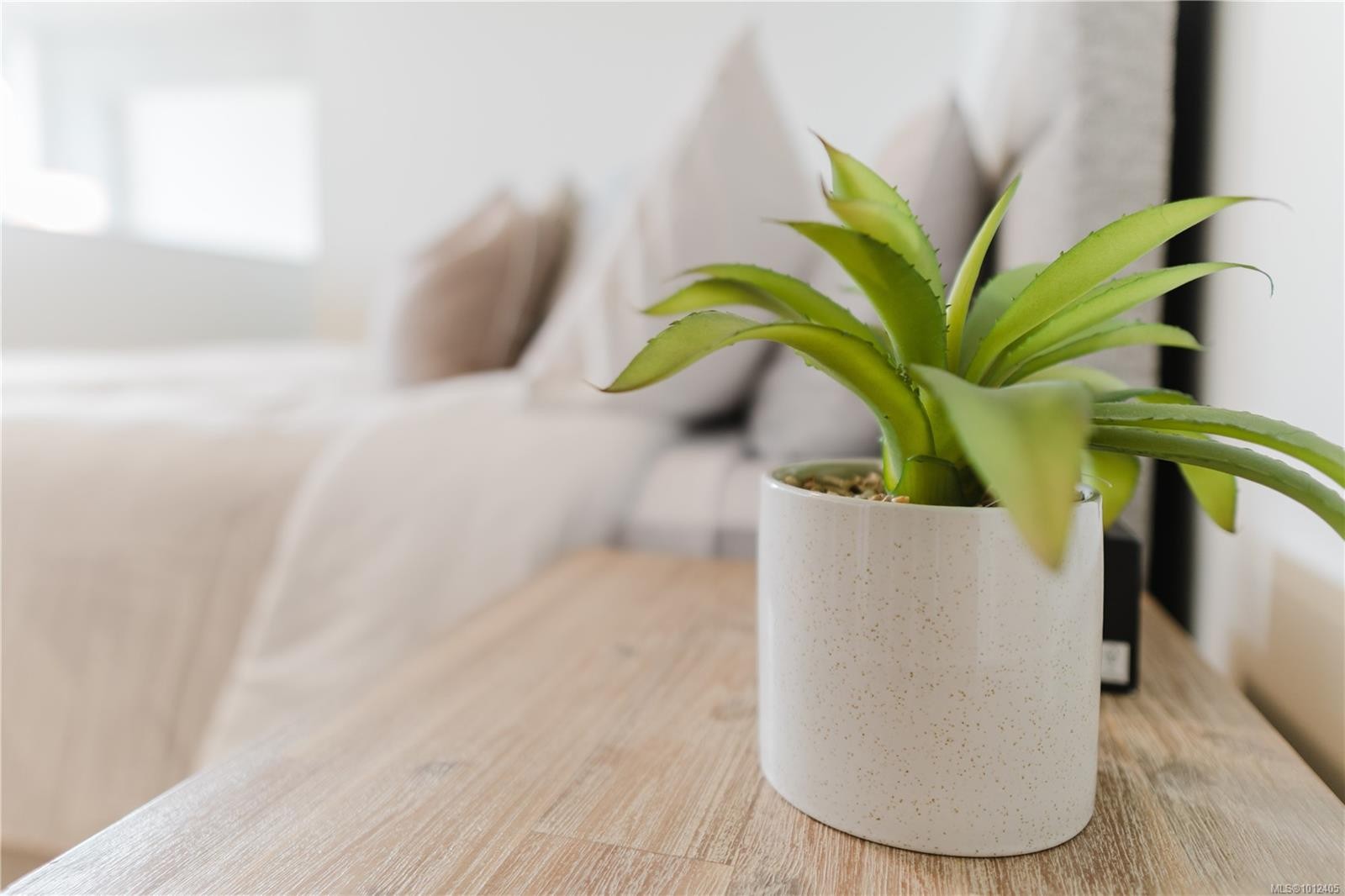 515-989 Johnson St, Victoria, BC - Indoor