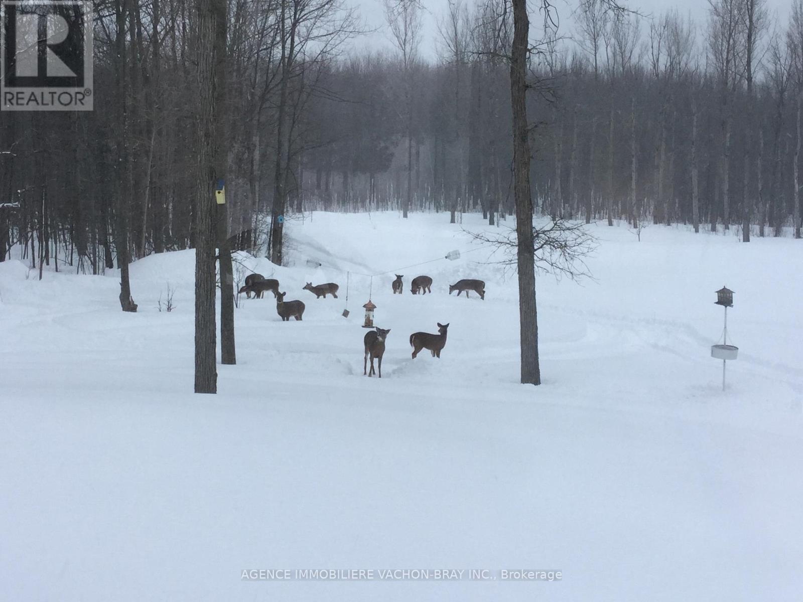 18668 Concession 2 Road, North Glengarry, ON - Outdoor With View