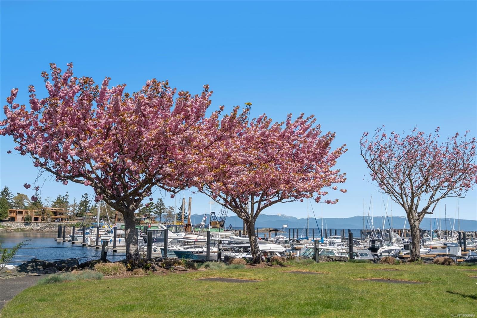 207-3529 Dolphin Dr, Nanoose Bay, BC - Outdoor With View
