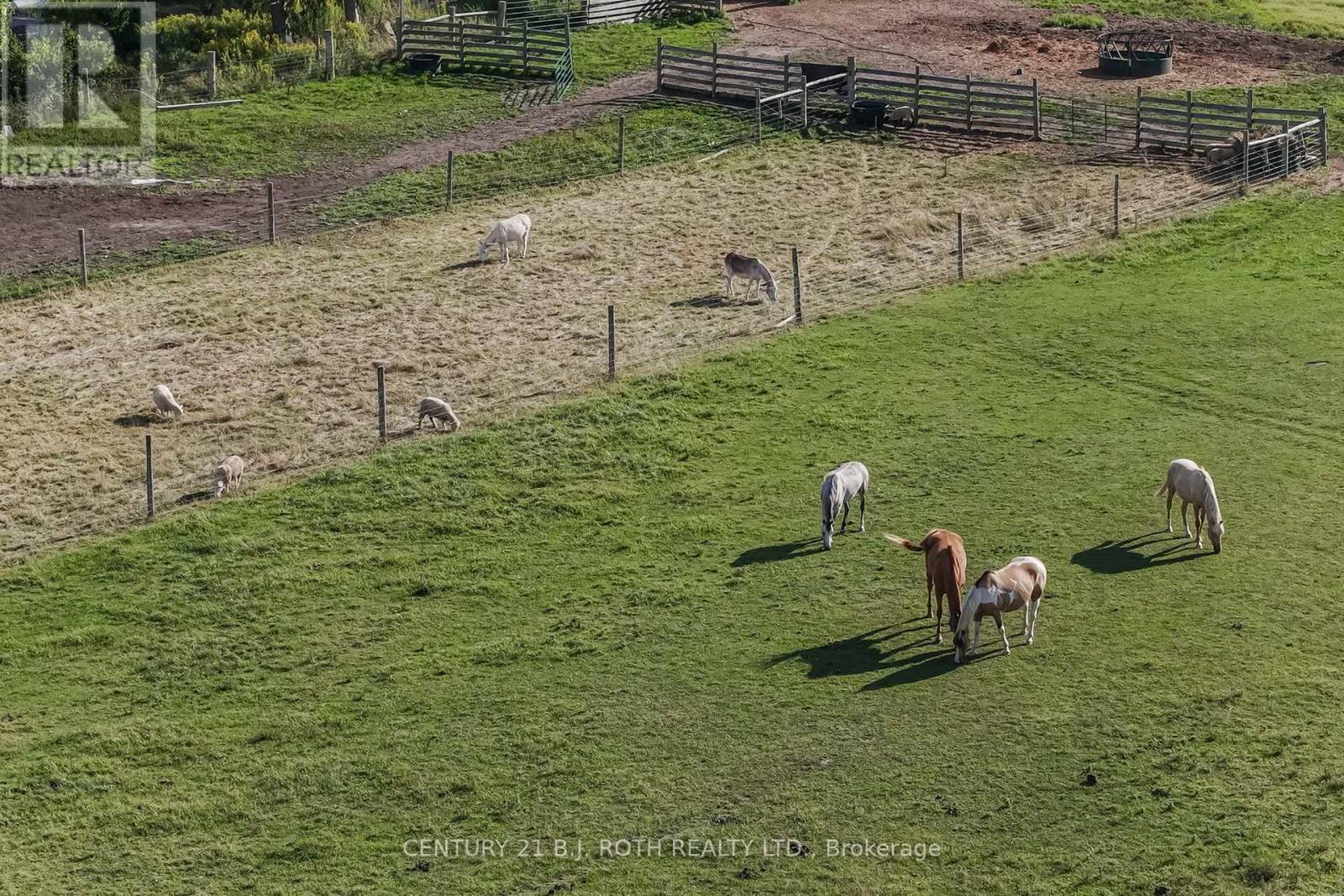 363 12 Line N, Oro-Medonte, ON