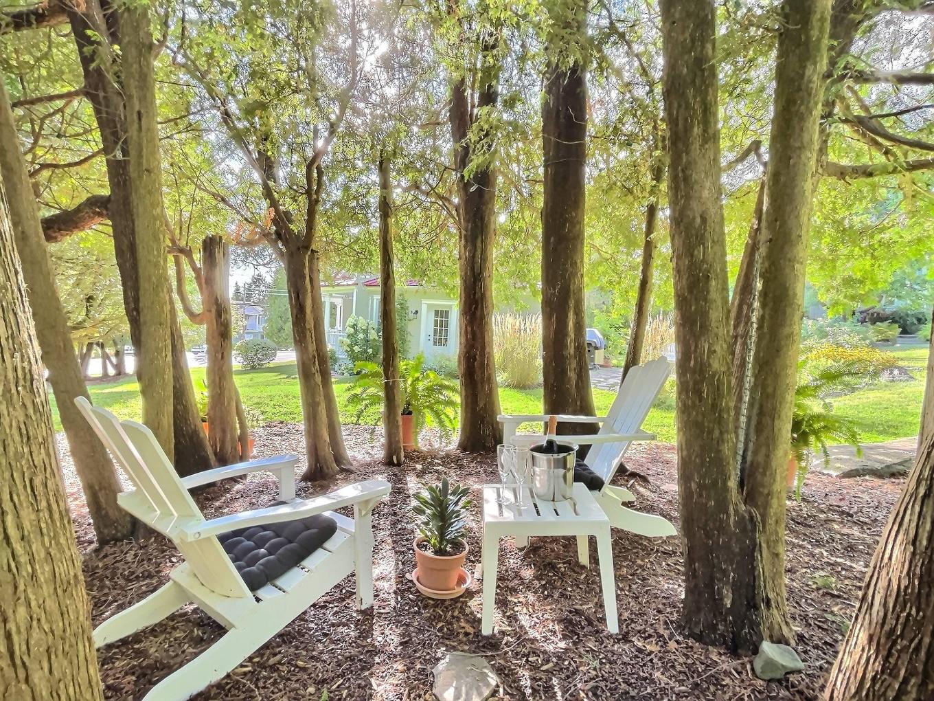 Wooded area - 987 Ch. De La Montagne, Mont-Saint-Hilaire, QC -