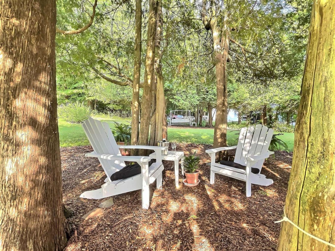 Wooded area - 987 Ch. De La Montagne, Mont-Saint-Hilaire, QC - Outdoor