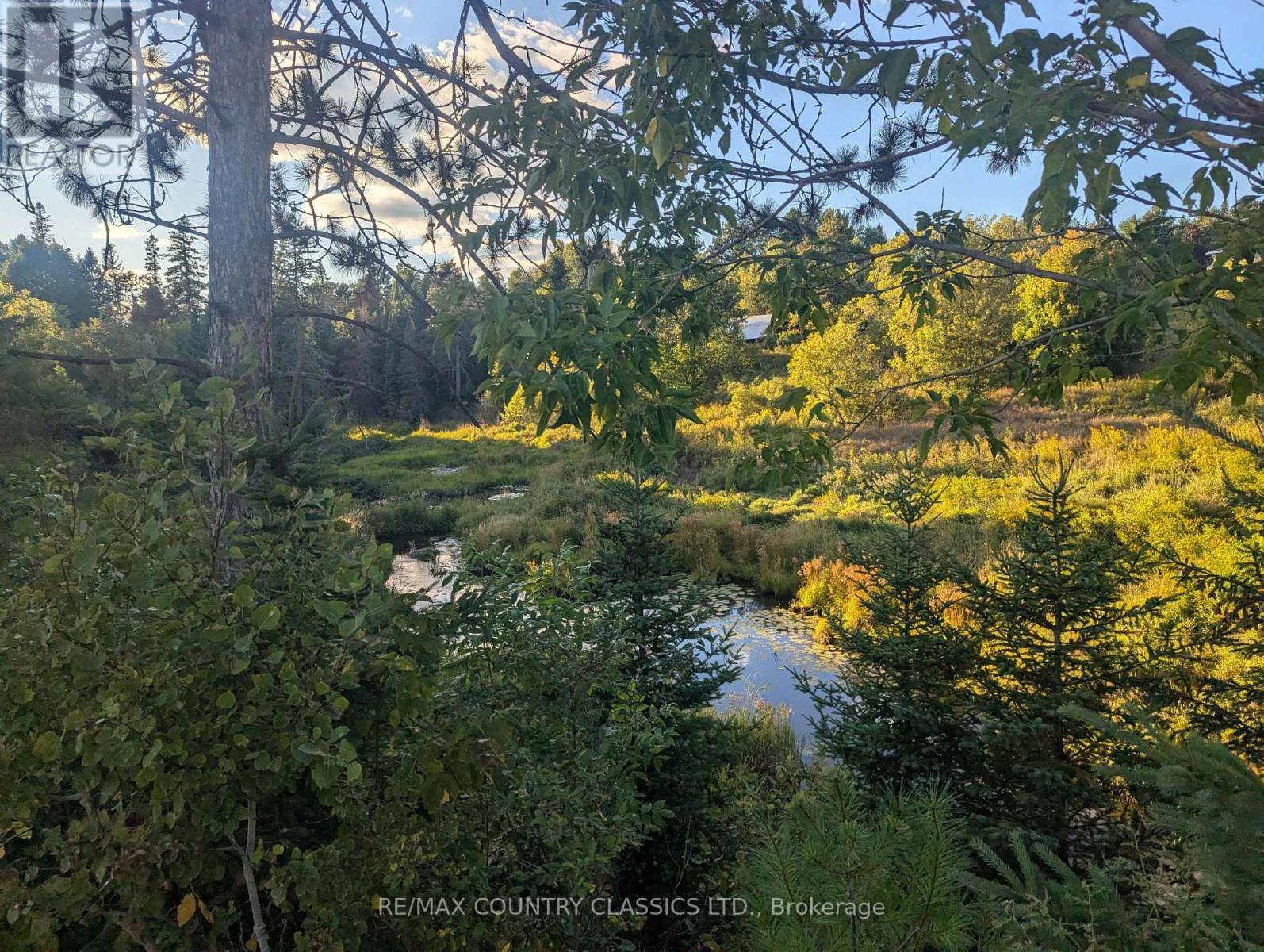 00000 Opeongo Line, Madawaska Valley, ON
