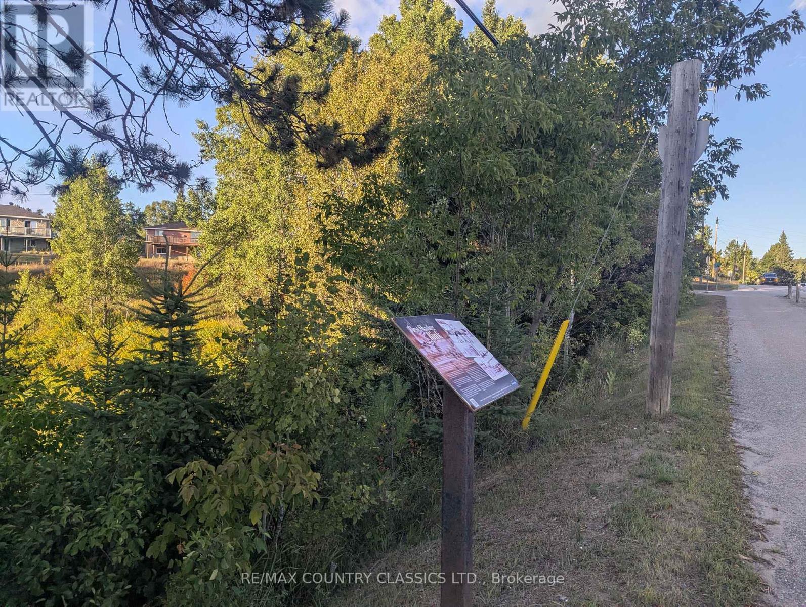 00000 Opeongo Line, Madawaska Valley, ON