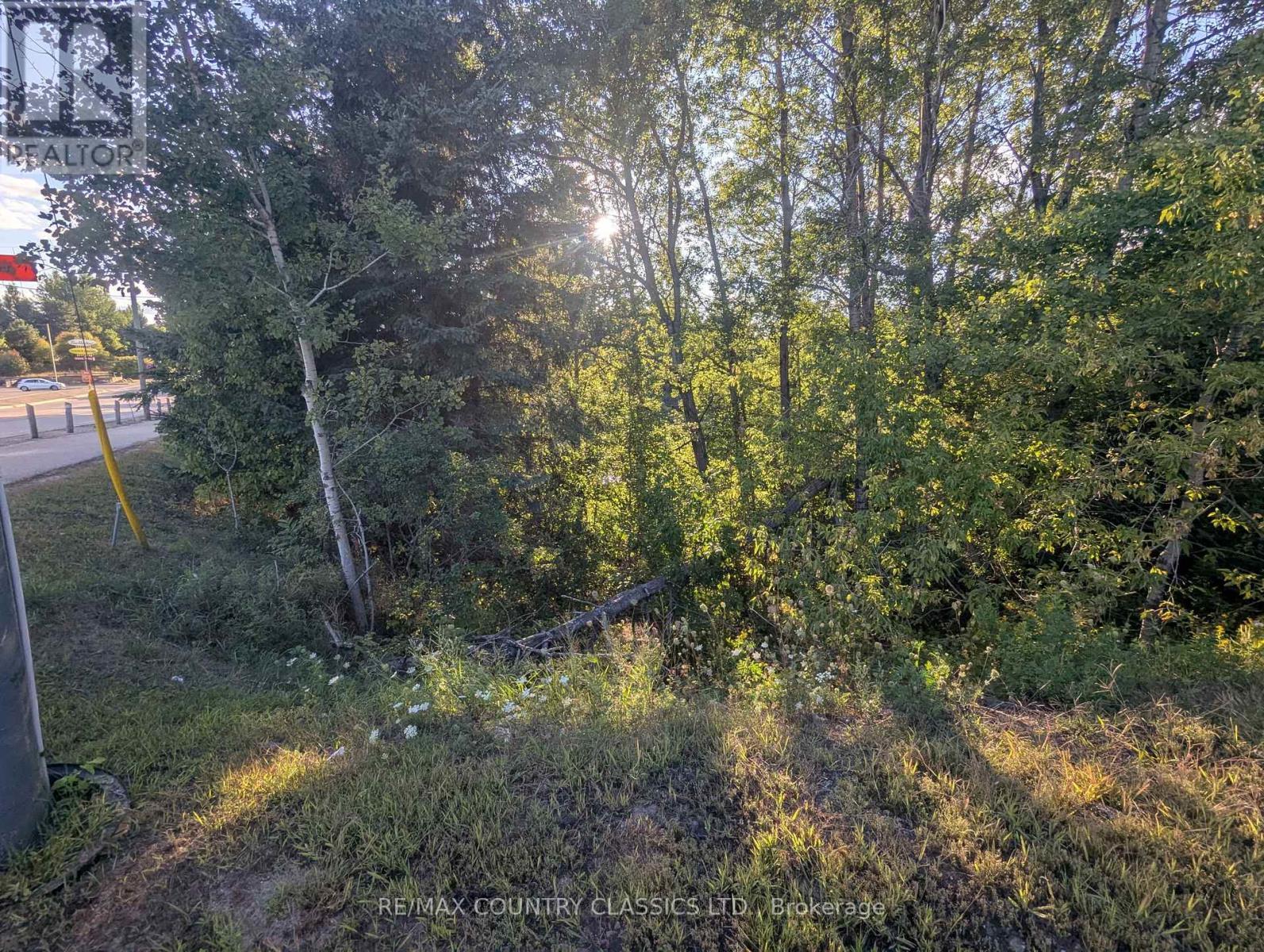 00000 Opeongo Line, Madawaska Valley, ON