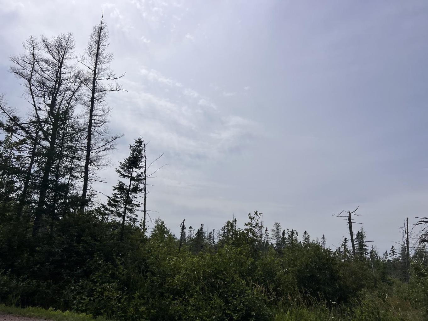 Rte 12 Tyne Valley, Tyne Valley, PE