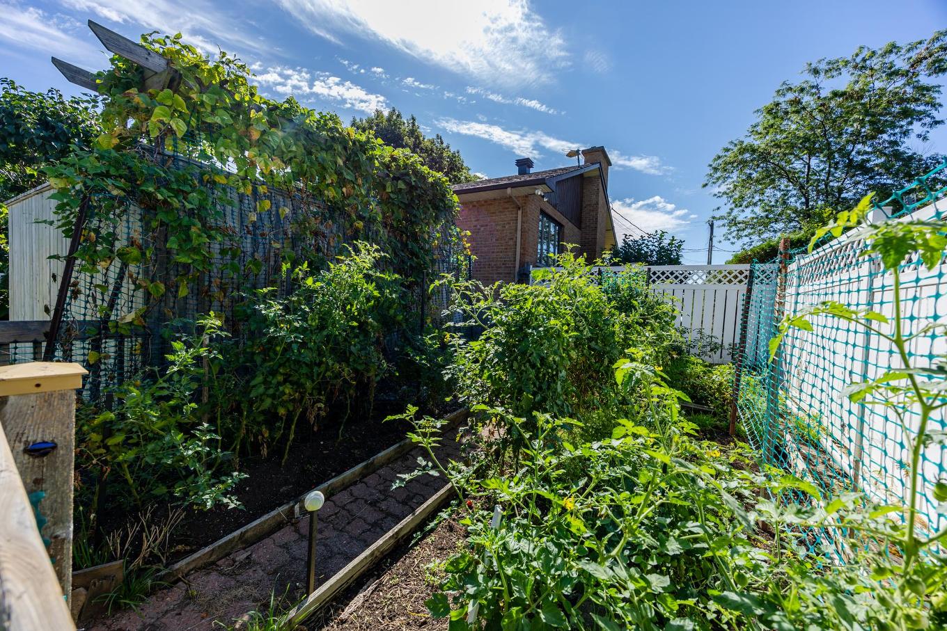 Backyard - 104 Ch. Du Vieux-Moulin, Notre-Dame-De-L'Île-Perrot, QC - Outdoor
