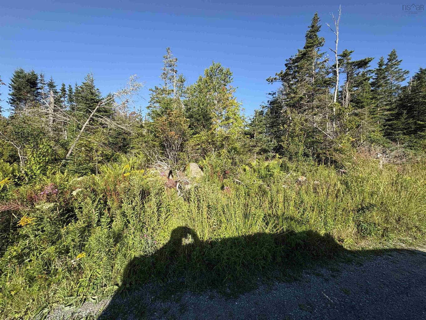 Lot 94 Shiers Road, Harrigan Cove, NS