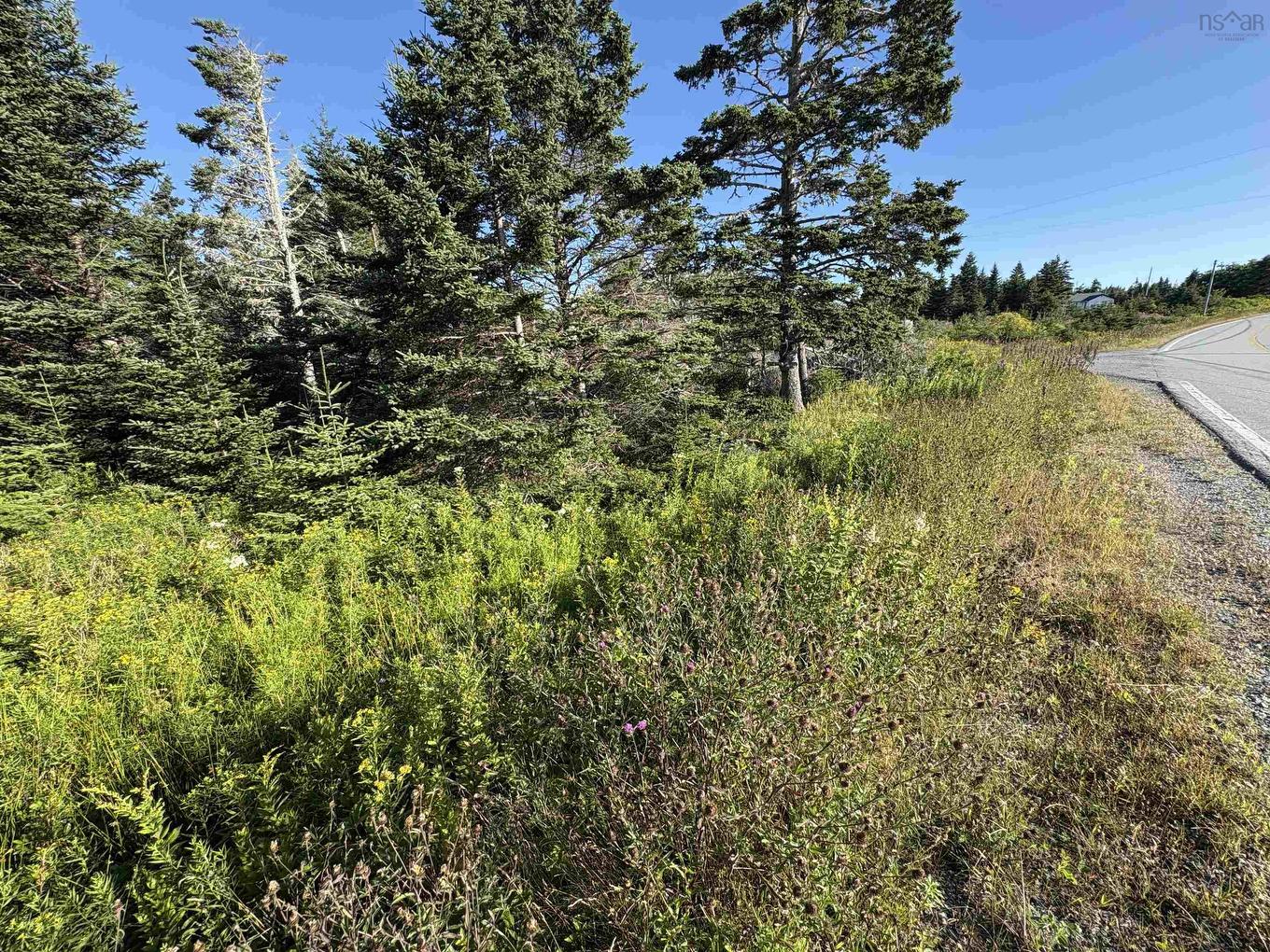 Lot 94 Shiers Road, Harrigan Cove, NS