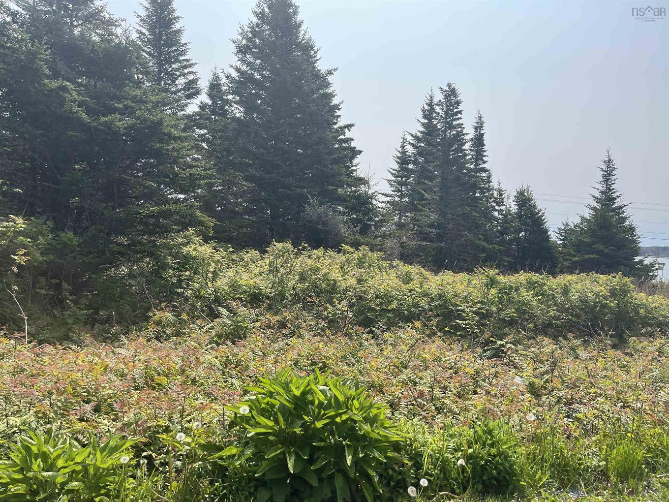 Lot 94 Shiers Road, Harrigan Cove, NS