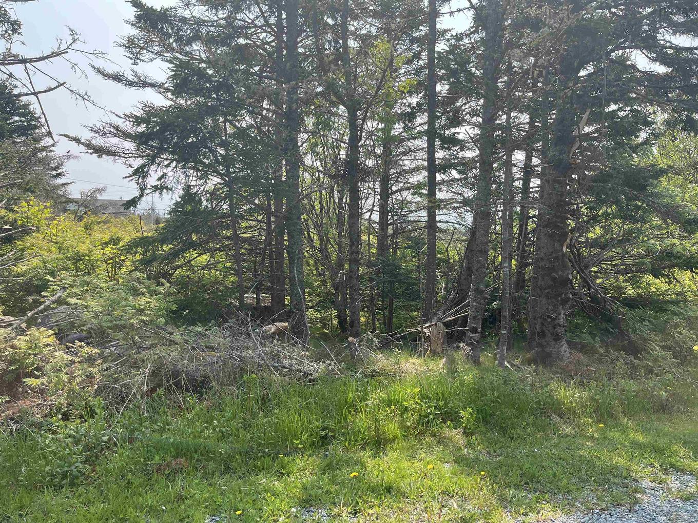 Lot 94 Shiers Road, Harrigan Cove, NS