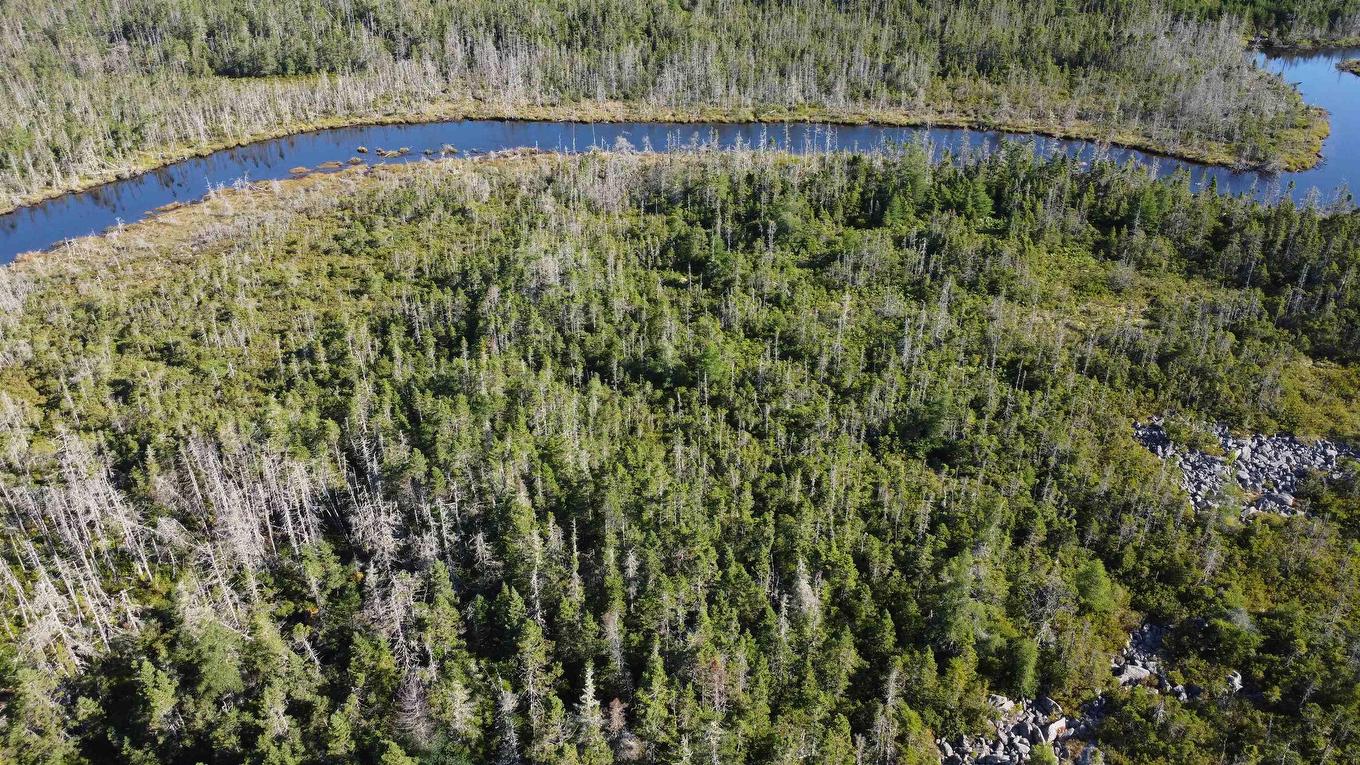 Lot 5 Shiers Road, Harrigan Cove, NS