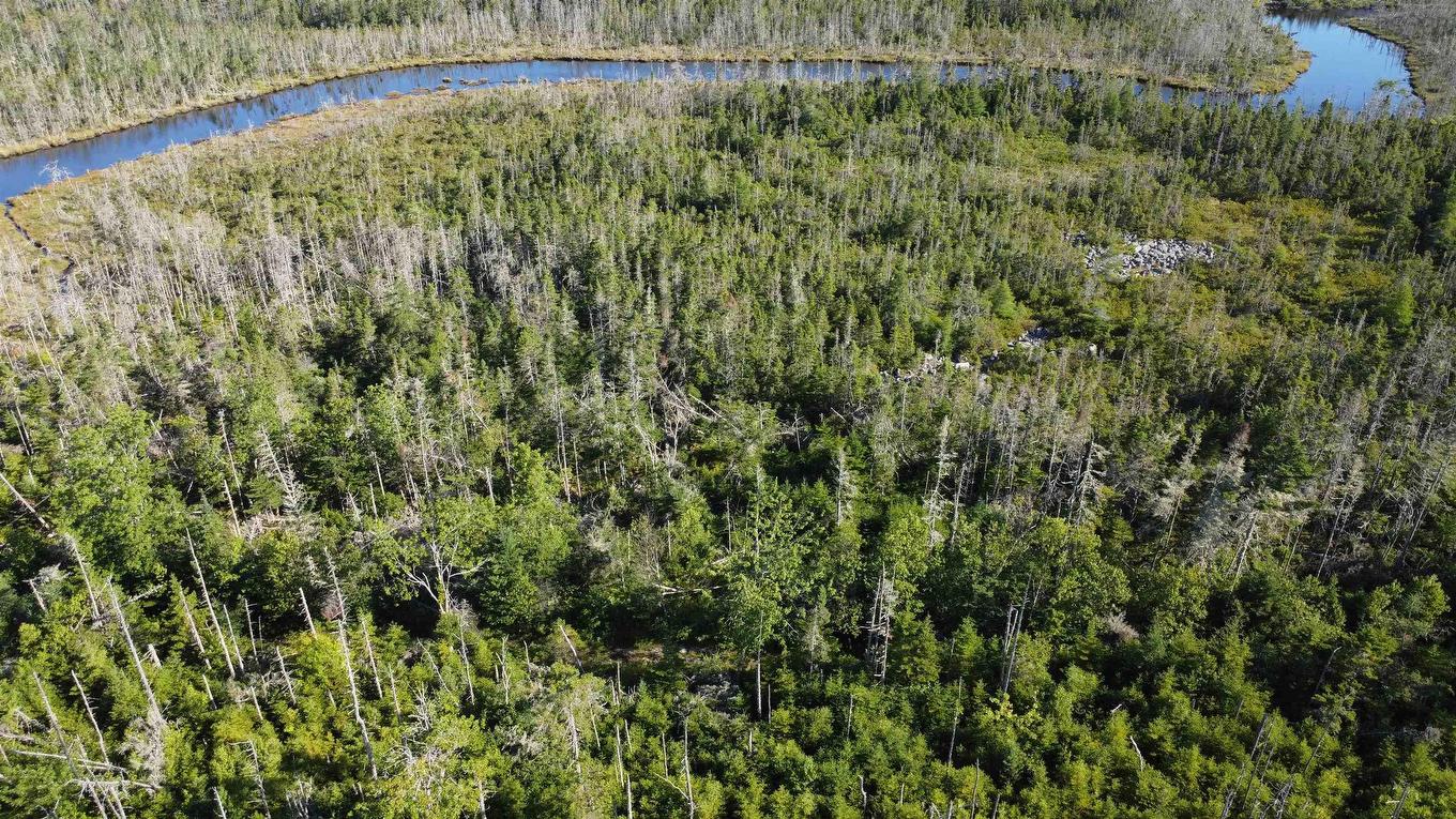 Lot 5 Shiers Road, Harrigan Cove, NS