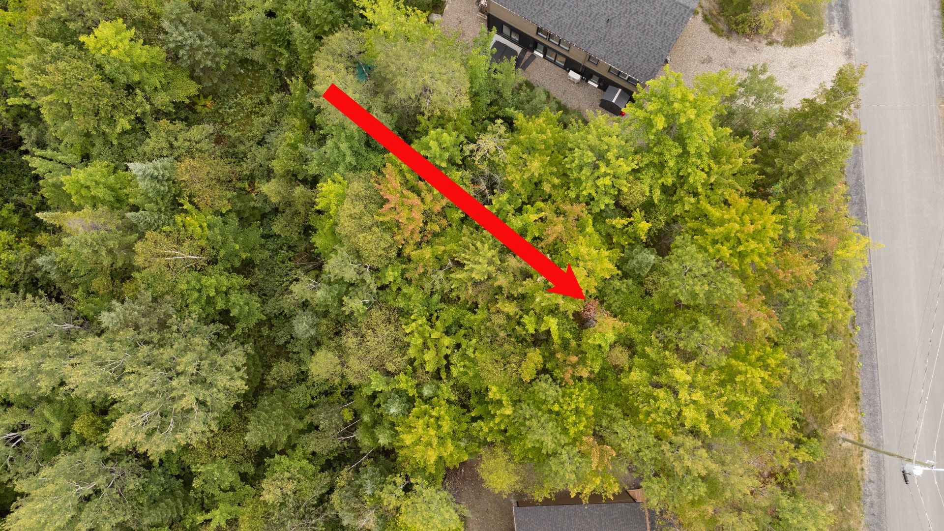 Photo aérienne - 14 Ch. Du Coteau, Adstock, QC