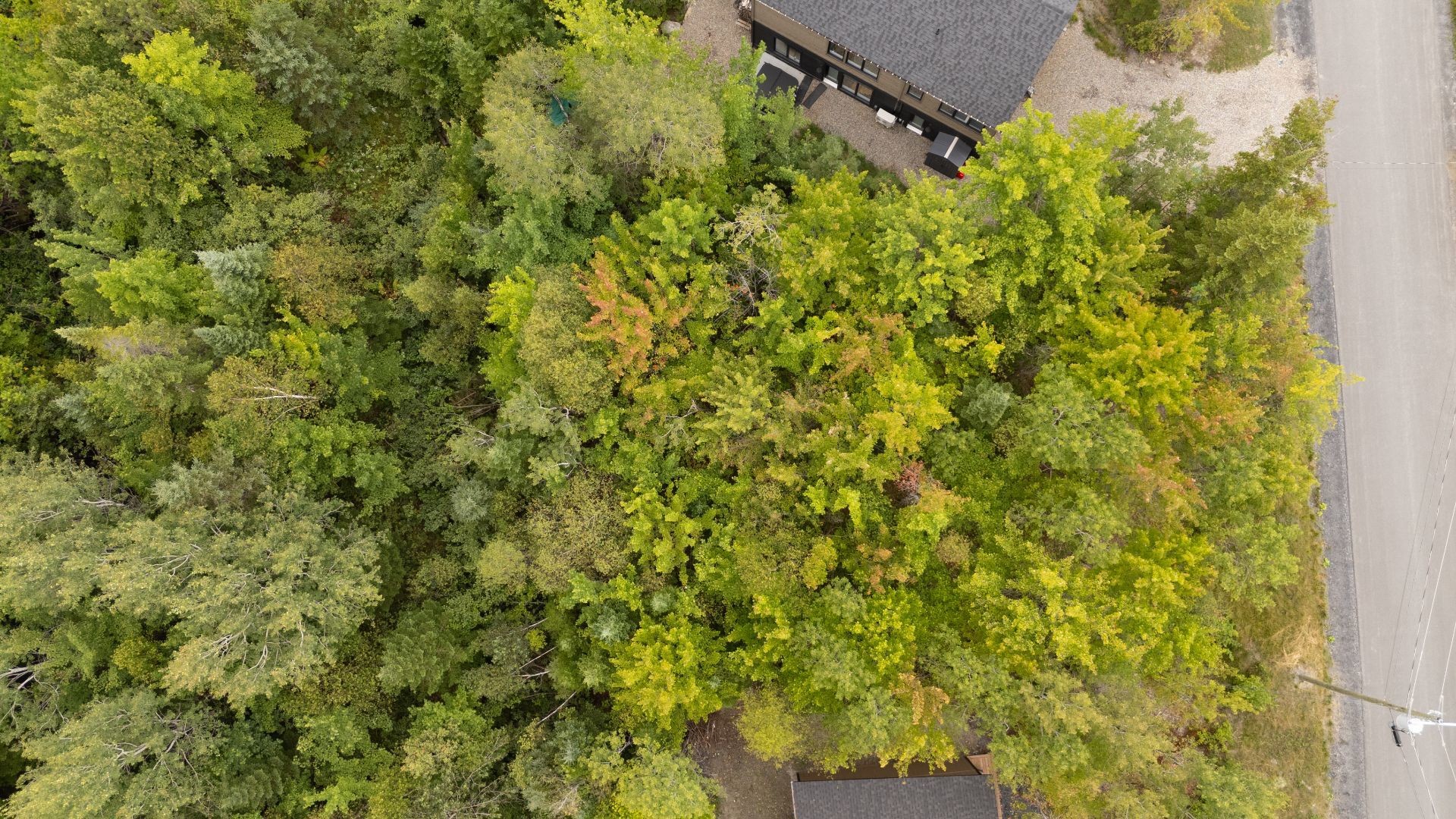 Photo aérienne - 14 Ch. Du Coteau, Adstock, QC