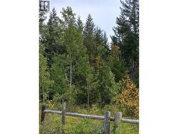 view into property from fence line -