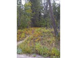 trail into property -