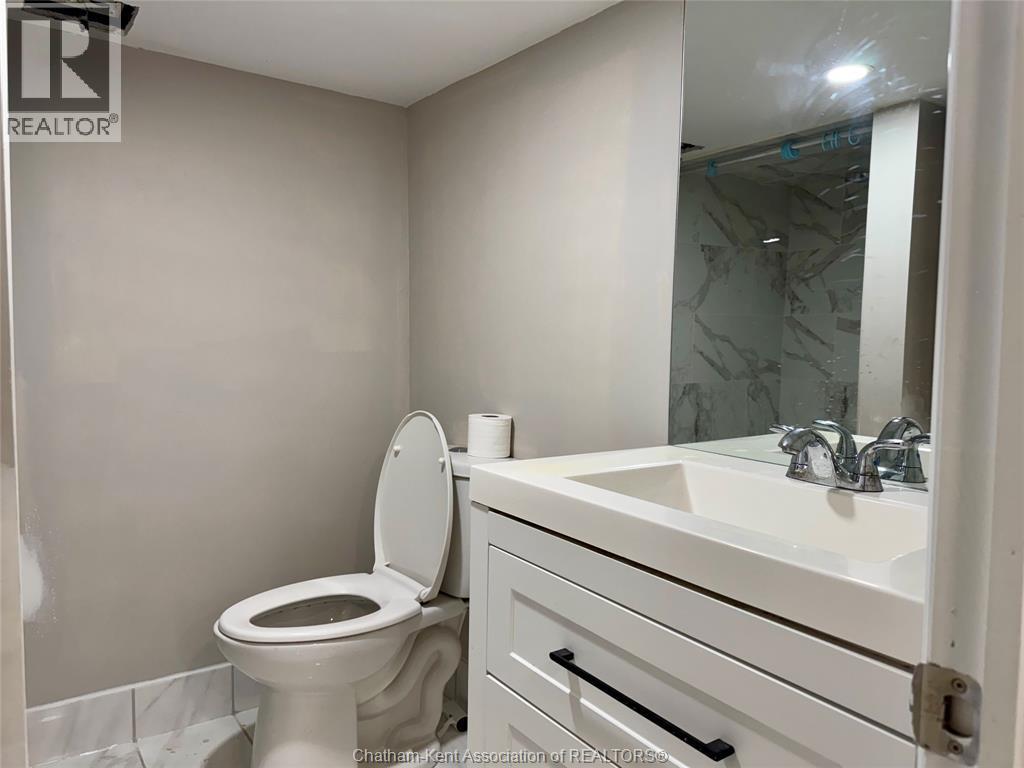 1353 Mckay Avenue, Windsor, ON - Indoor Photo Showing Bathroom