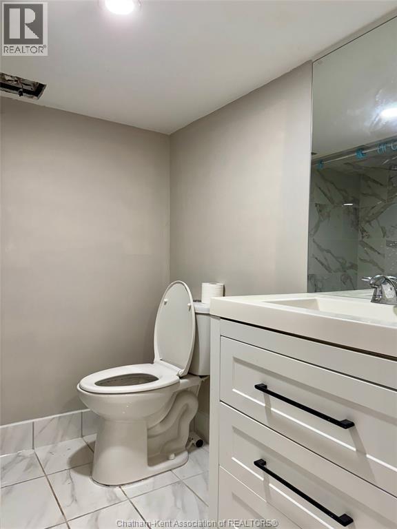 1353 Mckay Avenue, Windsor, ON - Indoor Photo Showing Bathroom