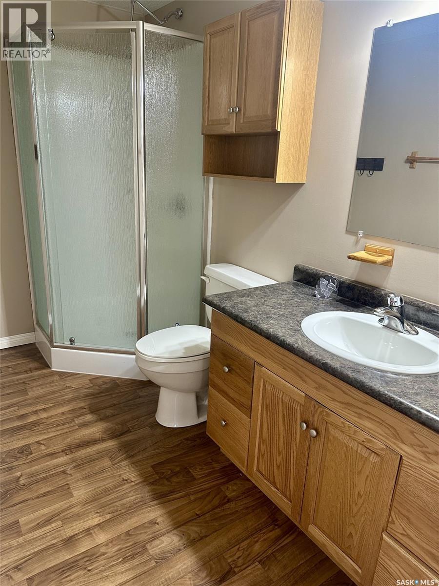 500 5Th Avenue, Leroy, SK - Indoor Photo Showing Bathroom