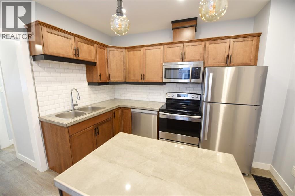 243 Brock Street South, Sarnia, ON - Indoor Photo Showing Kitchen With Double Sink