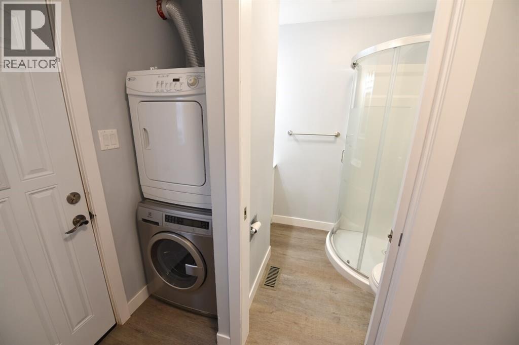 243 Brock Street South, Sarnia, ON - Indoor Photo Showing Laundry Room