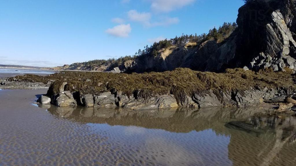 11 Cape Saint Marys Road, Cape St Marys, NS