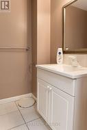 Lower level bathroom -