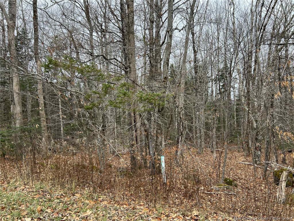 Vacant Lot - Hall Rd, Lakeside, NB