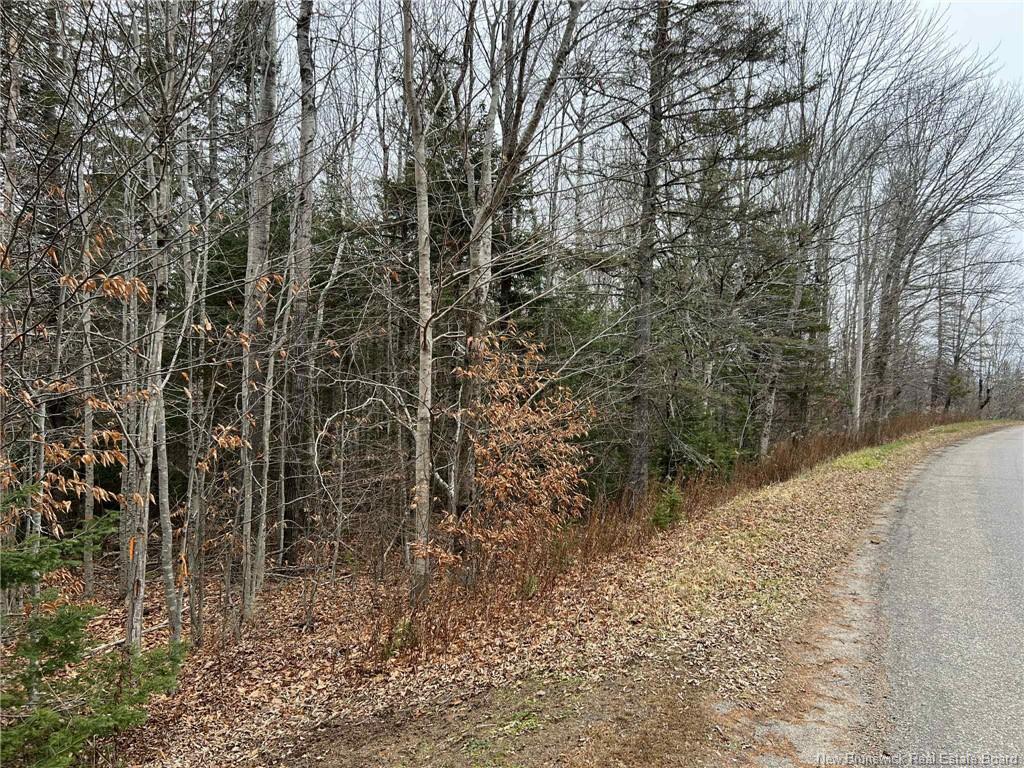 Vacant Lot - Hall Rd, Lakeside, NB