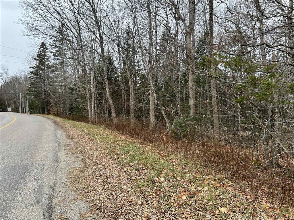 Vacant Lot - Hall Rd, Lakeside, NB