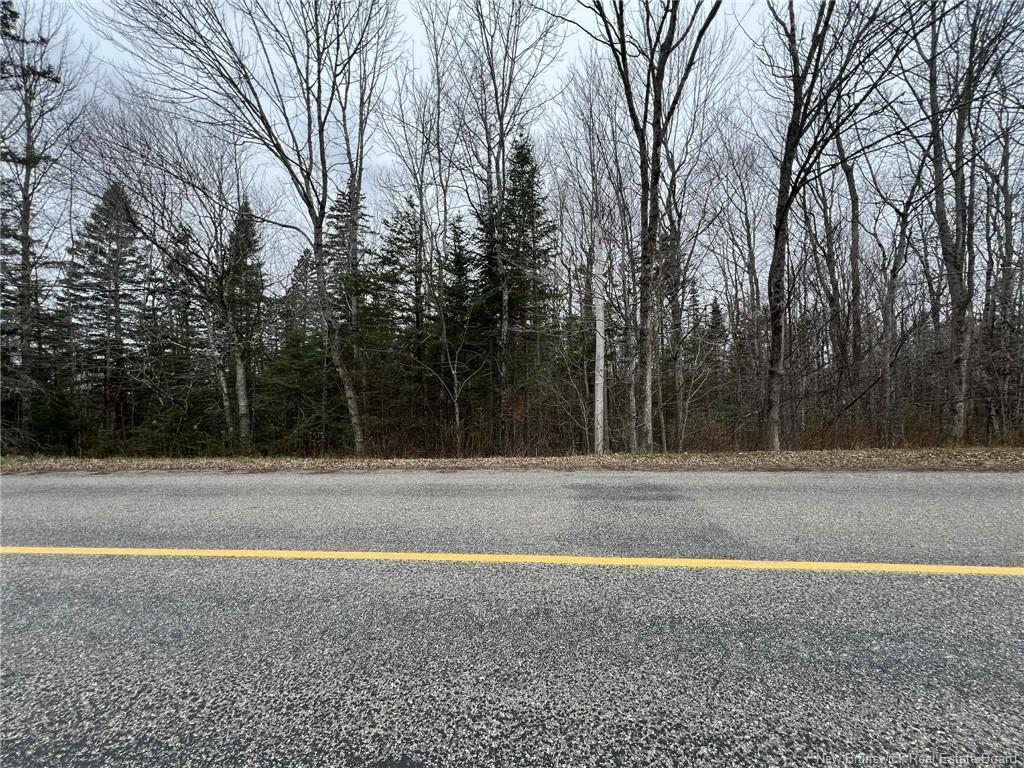 Vacant Lot - Hall Rd, Lakeside, NB