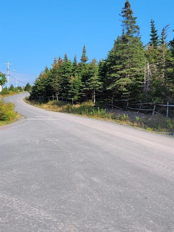 31-37 Branton'S Hill, Heart'S Delight, NL