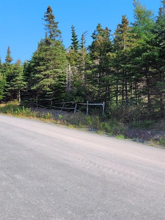 31-37 Branton'S Hill, Heart'S Delight, NL